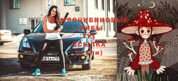 прущая мука Каменногорск