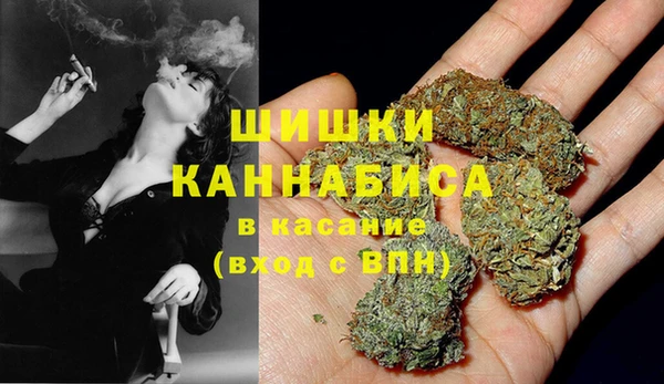 прущая мука Каменногорск