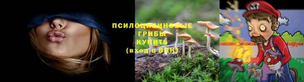 стафф Каменка