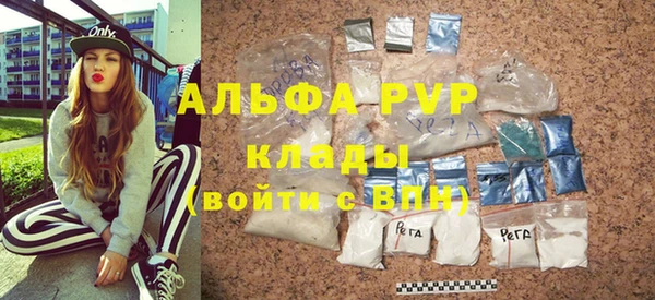 стафф Каменка