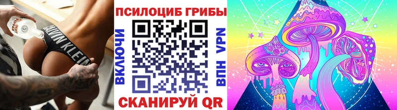 Купить  Малоярославец  Псилоцибиновые грибы Psilocybine cubensis 